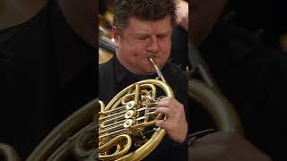 Strauss Horn Concerto With Radek Baborák
