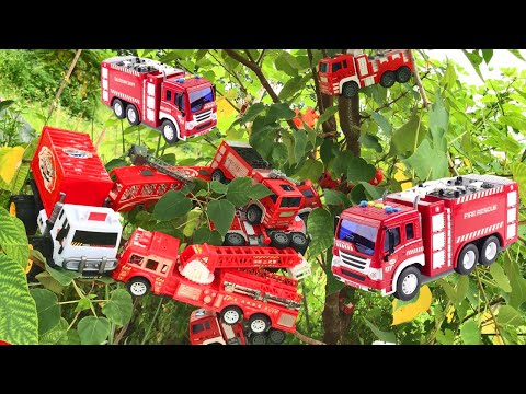 Tìm Xe Ôto Trên Cây, Xe Cứu Hỏa, Máy Xúc, Cần Cẩu, Siêu Nhân, Xe Bus