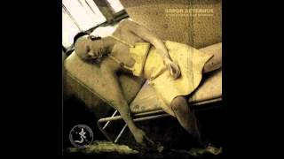 Watch Sopor Aeternus Leeches Deception video