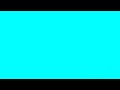 Lov jelena - Nový zéland