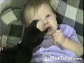 pettube