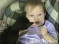 pettube