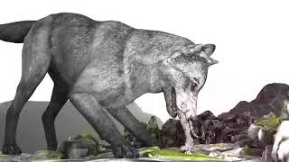 Wolf Vore