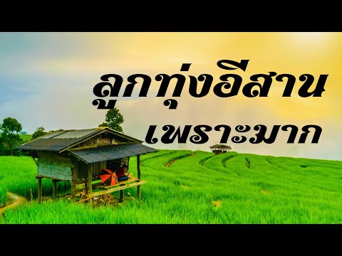ลูกทุ่งอีสาน เพราะมาก