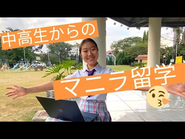 すべての動画