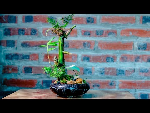 Cách làm thác nước tự chảy