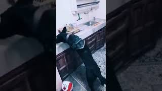 Eve Düzenlenen Operasyonda Esrar Ele Geçirildi
