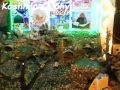 12 Rabi ul Awal Celebrate in Gujranwala City Part 1...captured by (Jani Mehar).
