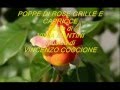 " POPPE DI ROSE, GRILLE E CAPRICCE " - Musica di VINCENZO COCCIONE - Testo di VINIA MANTINI