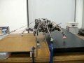 Autonomous robot