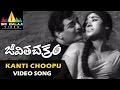 Jeevitha Chakram Songs | Kanti Choopu (Male) Video Song | NTR, Vanisri | Sri Balaji Video