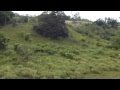 The Longest Zip Line in Puerto Viejo de Sarapiqui