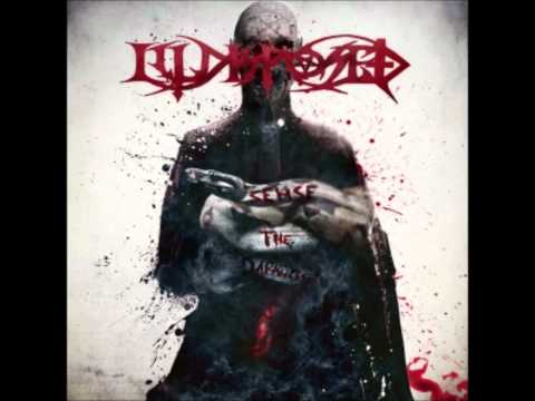 Illdisposed - Sense the Darkness (2012)