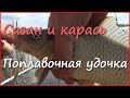 Ловля сазана и карася весной. Рыбалка на поплавочную удочку. Ловля сазана и карася весной. Рыбалка на поплавочную удочку.