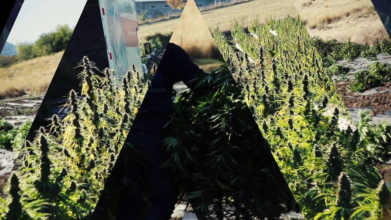 Commercial