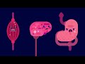 Genetic Engineering and Diseases – Gene Drive & Malaria