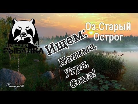 Озеро старый острог ловля налима Озеро старый острог ловля налима
