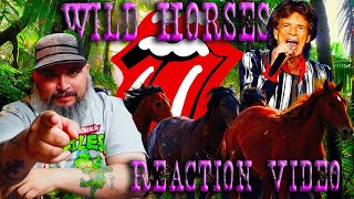 First Time Hearing | The Rolling Stones | Wild Horses | Reaction