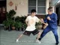 image Eagle Claw Kung Fu Cs1 Application 1