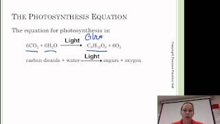 Celllular Energetic Intro 8-1,2