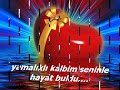 ERKAN KAYA & NASIDE GÖKTÜRK -INTIHAR klip izle