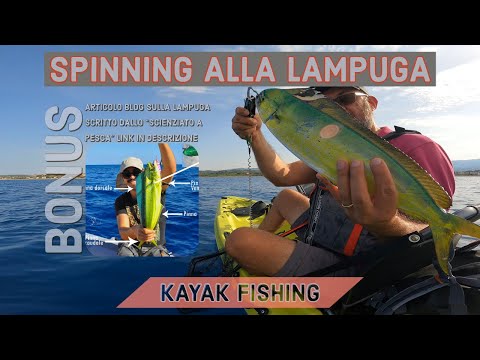 CORSE LANCI E LAMPUGHE - spinning dal kayak alla lampuga - kayak fishing