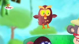 Ladybug Riddle Games With Animals Baby-Tv