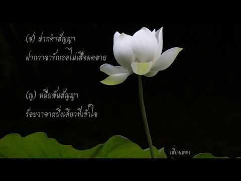 ณ วันนี้