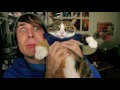 Dare MattG - 2 ( Virtual Licks, Kitty Dress-up, Katy Perry)