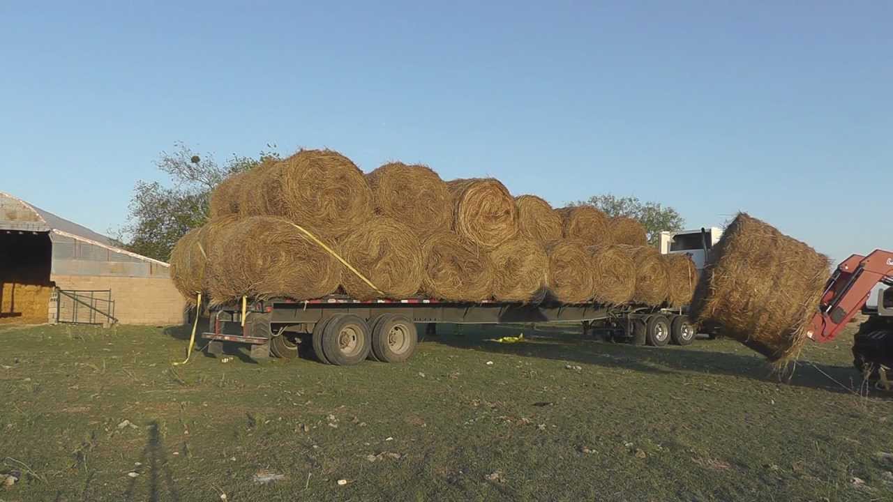 Unloading Missouri Round Hay Bales YouTube