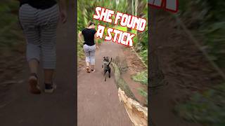 She Found A Stick