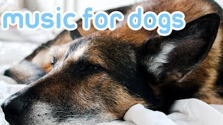 15 HOURS of Deep Stress Relief Dog Music! Music to Help Your Dog Sleep