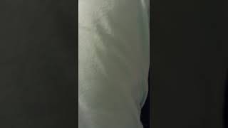 Eating Snot A Problem
