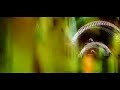 Polvo - my kimono