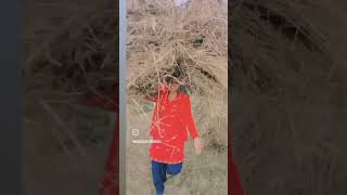Love Short Video