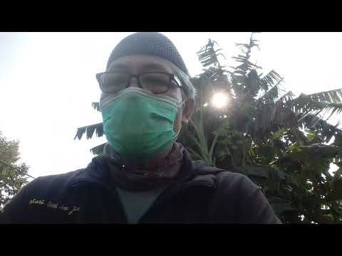 #KISAH NYATA||PENJABARAN BEBERAPA HADITS BUKHARI TENTANG PEMBUATAN PATUNG@ayahsadam9817