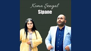 Sipane