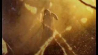 Watch Sopor Aeternus and Bringer Of Sadness video