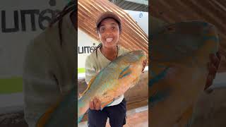 Big Parrot Fish