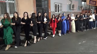 Diyarbakır Halayı Grani Ağır Delilo 2024 - Bahar & Serkan'ın Düğünü - Koma Berçe