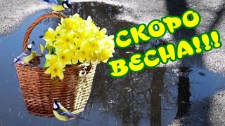 Скоро Весна..ура!!!🌷🌷🌷Очень Красивая Музыка🎶Музыкальный Клип Для Друзей