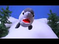 Sharks Love Hoodoo!