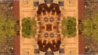 Watch Tracks Born Wild Smile video