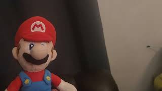 Mario Watches The Warner Home Video Logo