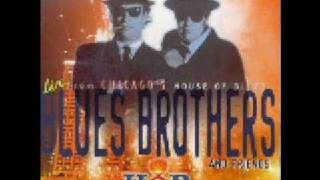 Watch Blues Brothers Blues Why You Worry Me video