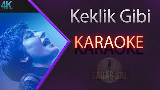 Keklik Gibi Kanadımı Süzmedim Karaoke Türkü