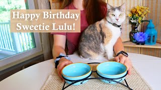 Sweetie Lulu’s Birthday Gift 😼Ceramic Cat Bowls👈
