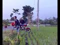 Tragedi Sawah Lega images Tragedi Sawah Lega