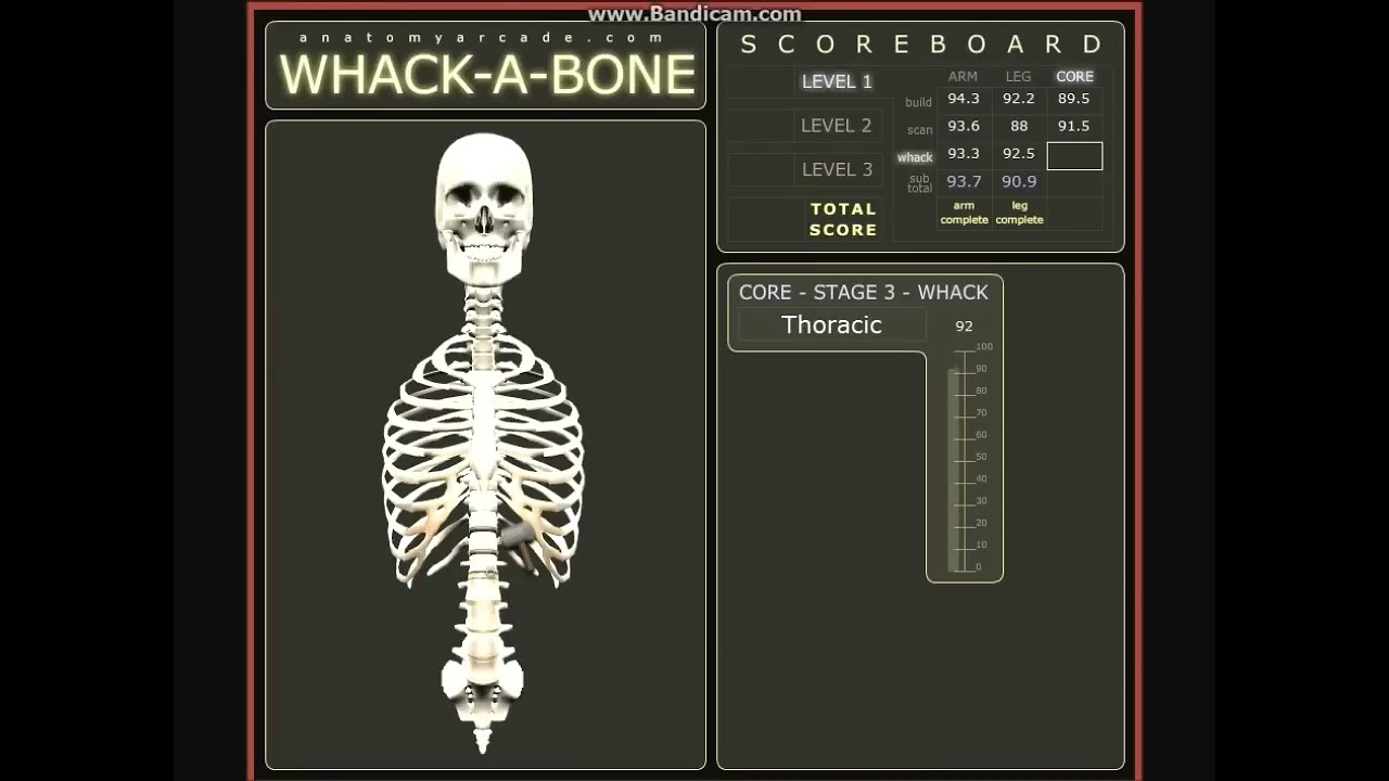 Whack A Bone - YouTube