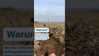 Wir haben Verspätung!